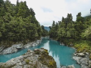 Study In New Zealand